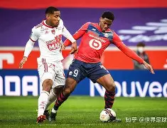 关于赛地聚焦：法甲冲刺阶段热度飙升，孟菲斯灰熊状态回暖，震撼外界，细节决定成败的信息